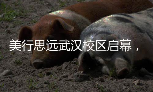 美行思远武汉校区启幕,不定期更新……