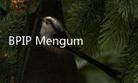BPIP Mengumumkan 76 Paskibraka untuk Bertugas Pada Upacara HUT RI di IKN