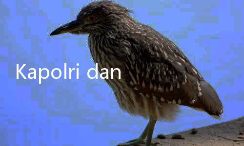 Kapolri dan Panglima Tegaskan TNI
